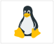 Embedded Linux Icon
